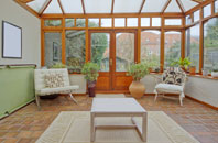 free Abbey Field conservatory quotes